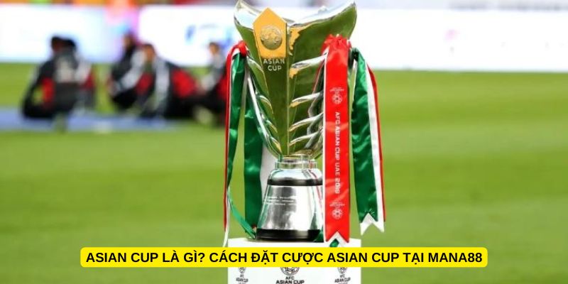Asian Cup là gì? Cách đặt cược Asian Cup tại Mana88