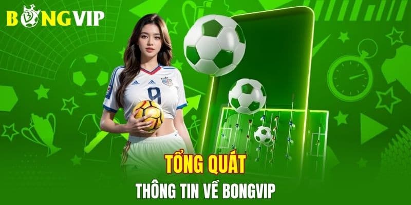 Dồn Vốn Hay Chia Nhỏ Khi Cá Cược Thể Thao Bongvip Nên Biết