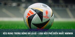 Kèo Rung Trong Bóng Đá Là Gì - Loại Kèo Phổ Biến Nhất Mmwin